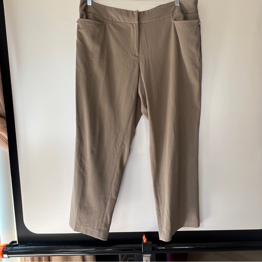 Lane Bryants women dress  Tan Pants size 20 petite